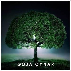 Goja Çynar
