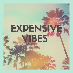 Expensive Vibes (Instrumental) (Instrumental)