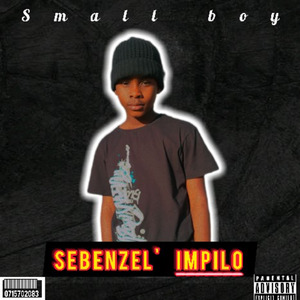Sebezel' impilo