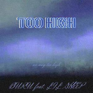 TOO HIGH（feat.CRAZYBOYLILSHEEP）