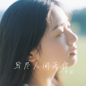 写尽人间无你