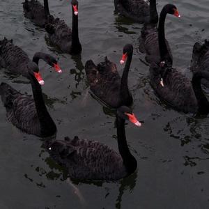 大海在等风_20220516_225552