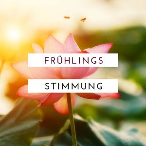 Energiefeld Reinigen