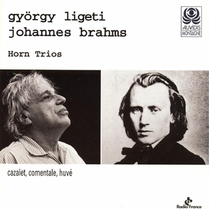 Horn Trio in E-Flat Major, Op. 40:III. Adagio mesto