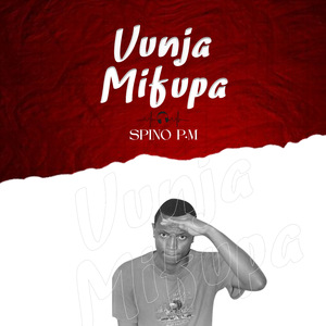 Vunja Mifupa