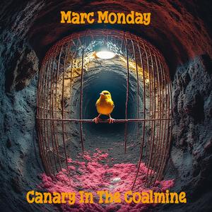 White Noise Cathedral