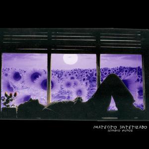 Matecito Sintetizado