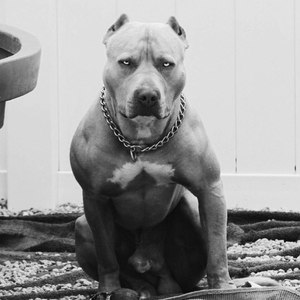 郝向阳-ale ale（郝向阳 remix）