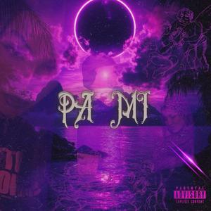 PA MI