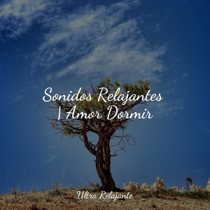 Amanecer en La Arenosa Playa