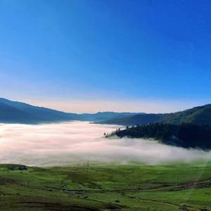 原来占据你内心的人不是我