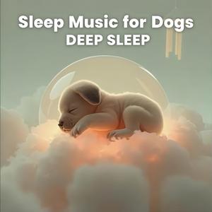 Whisper Nest Reverie