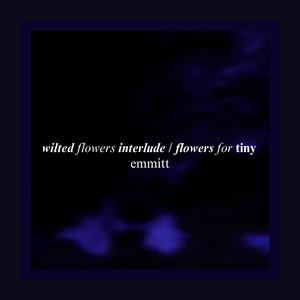 wilted flowers interlude