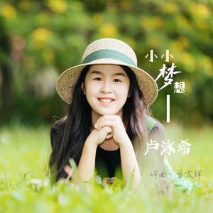 小小梦想 (伴奏)