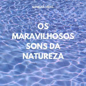 Lua Cheia Sobre o Desfiladeiro