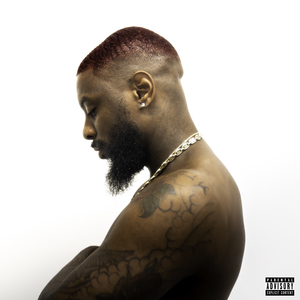 The Bird With No Wings