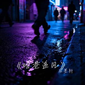 暗巷追风