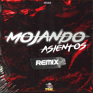 Mojando Asientos (Remix)