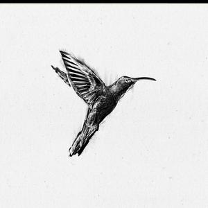 Eulogy of a Hummingbird