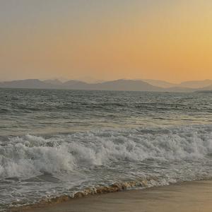 wish u were gay（翻自 Billie Eilish）