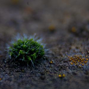 Feels like Chernobyl (feat. marbellastudios)