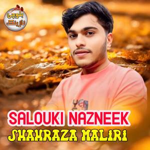Salouki Nazneek