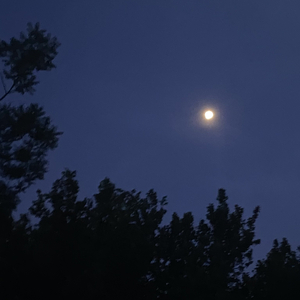 白虹贯日（demo）