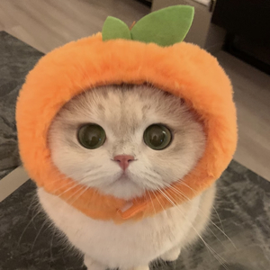 逃跑计划-夜空中最亮的星（DJ降调）0.9x（冬拾呀 remix）