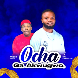 Ocha Ga Akwugwo