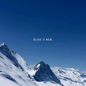 Bird's Eye (feat. Leo Krepper)