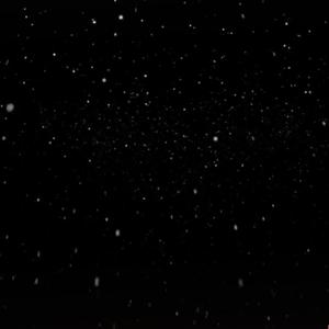 冬眠·2023(1.2片段)