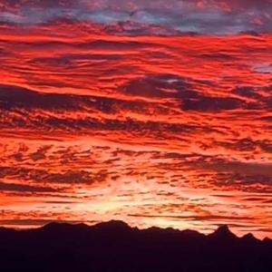 Barter And Trade (WesleyPipesProductions) (feat. David Ivory)