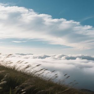 放飞梦想的翅膀