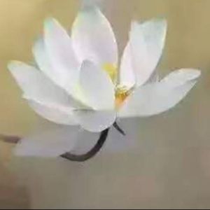 Ask the Moon（S）mix