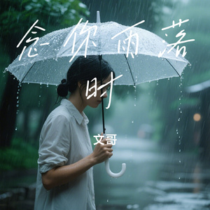 念你雨落时