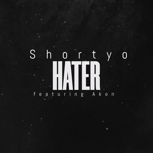 Hater (feat. Akon)
