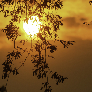 You Can't Play the Piano on the Guitar