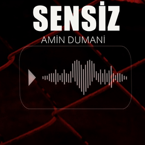 Sensiz