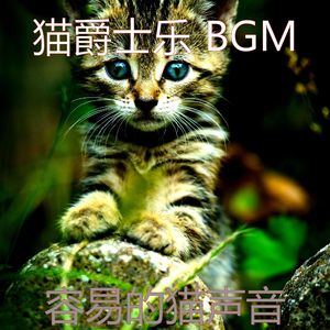 抚慰的睡猫回忆