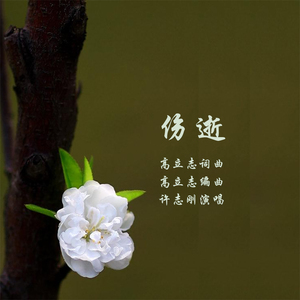 伤逝