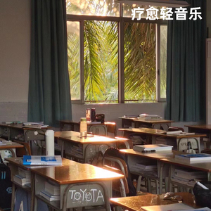 湖畔治愈纯音乐·天鹅游弋的优雅