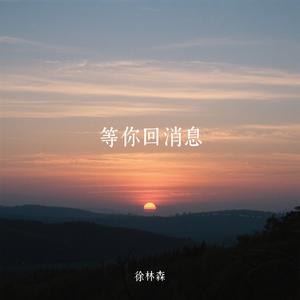 等你回消息