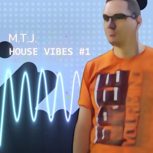 House Vibes -=1=-