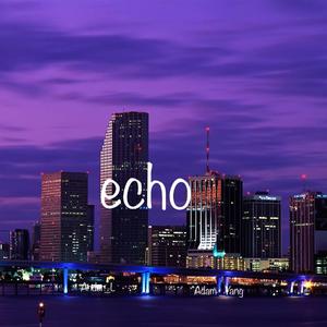 whisper-Ander_L_Echo(1)（Ander_L remix）