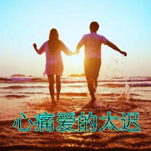 心痛爱的太迟