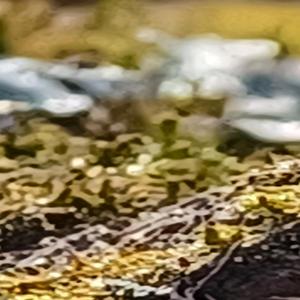 trotventurs1 the plow