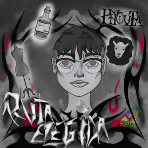 Ruta Elegida