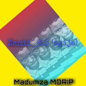 Zanii_6.5 (sgija)