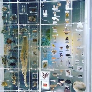 Defining the Undefinable