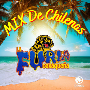 Mix De Chilenas: El Tequereque/ Putlequita/ Guerrero Lindo/ La Revolcada/ Sabor A Costa/ Delirio De Amor/ La Yerba Buena/ Huazolotitlan/ Sentimiento Costeño/ Tierra Querida/ Cabeza De Hacha/ El Bigote